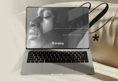Trabajo real: zenplug